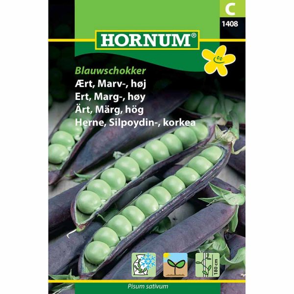 Marvært 'Blauwschokker'