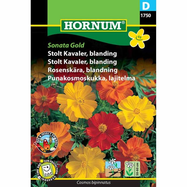 Stolt kavaler 'Sonata Gold'