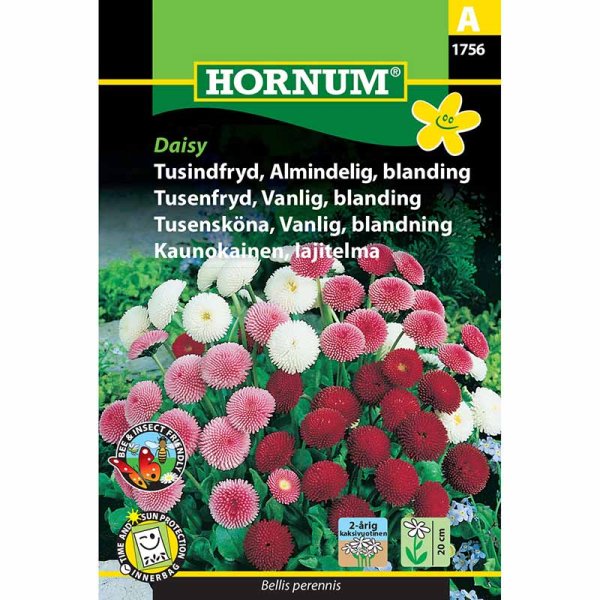 Tusindfryd 'Daisy'