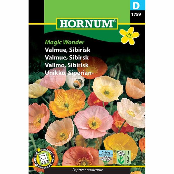 Sibirisk valmue 'Magic Wonder'