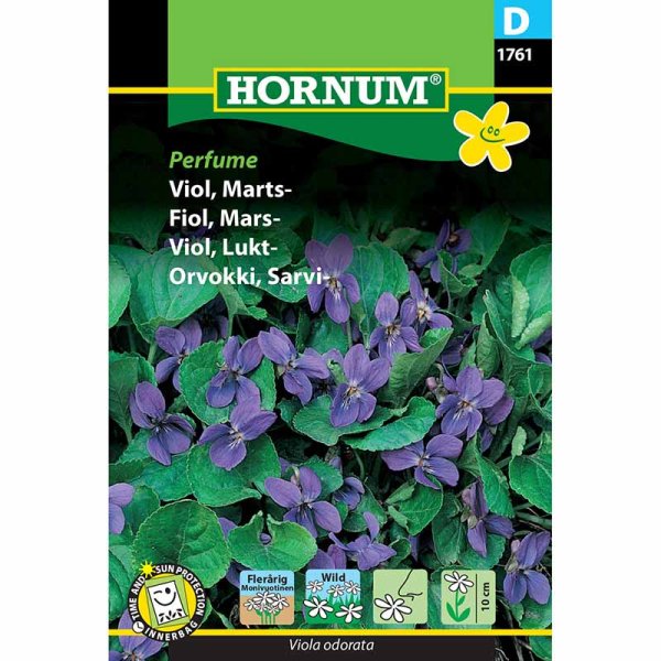 Duftviol 'Perfume'
