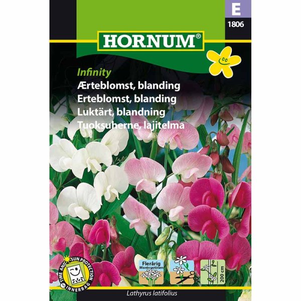 Ærteblomst 'Infinity'