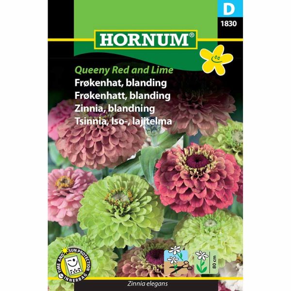 Zinnia 'Queeny Red and Lime'