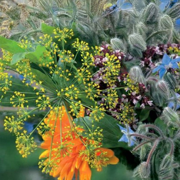 Bi- og blomsterblanding