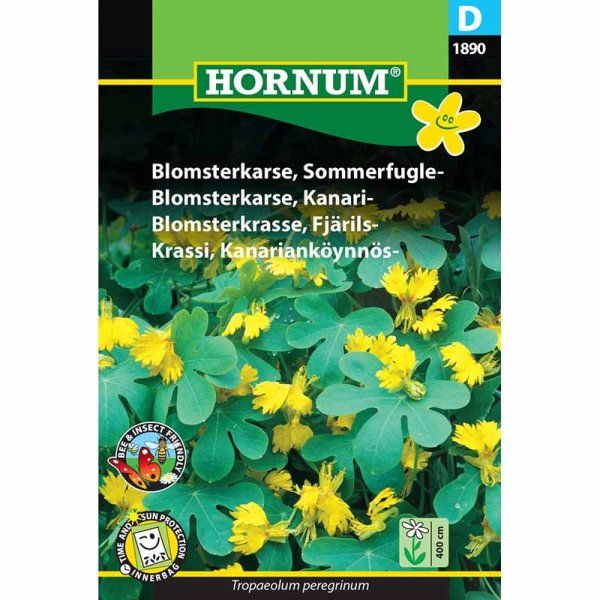 Sommerfugl-blomsterkarse