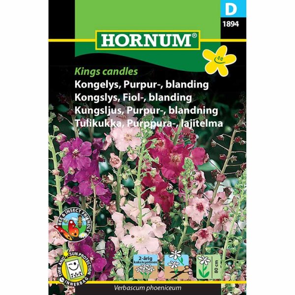 Purpurkongelys 'Kings Candles'