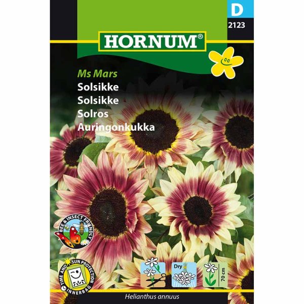 Solsikke 'Ms Mars'