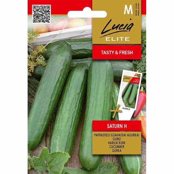 Slangeagurk 'Saturn' F1