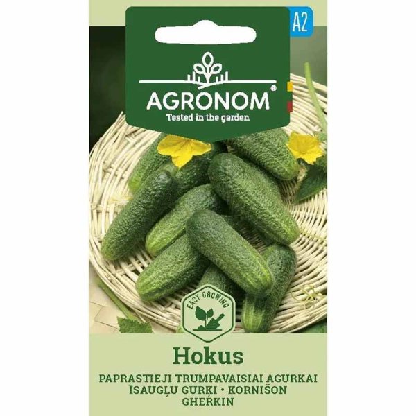 Agurk 'Hokus'