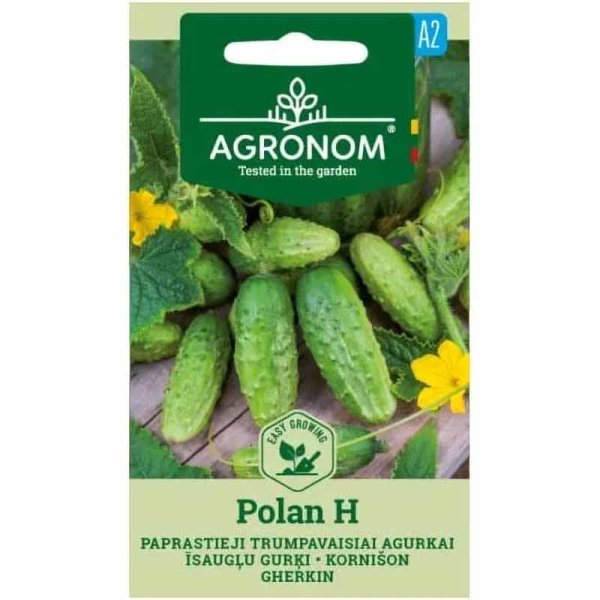 Agurk 'Polan' F1