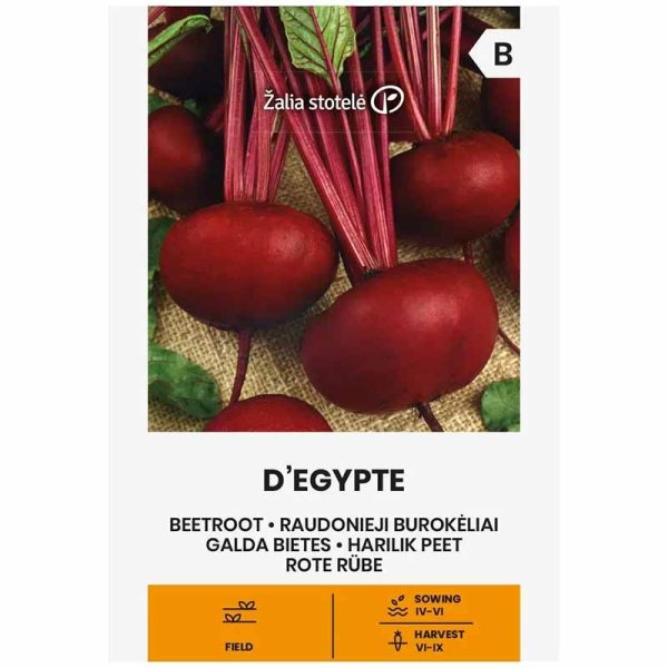 Rødbede 'D'Egypte'