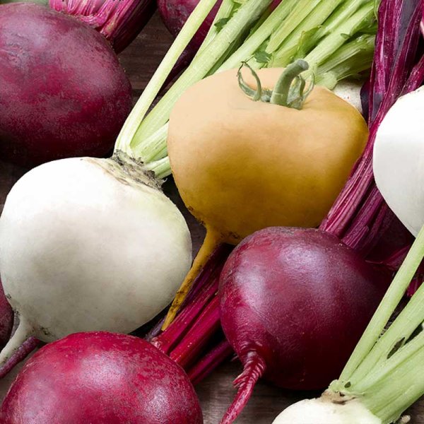 Bede mix 'Albina Vereduna, Burpees Golden, Bona'