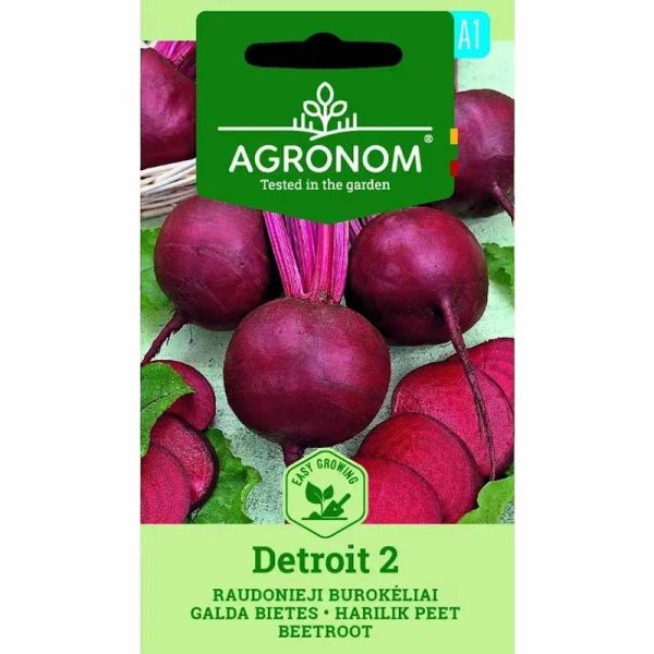 Rødbede 'Detroit 2'