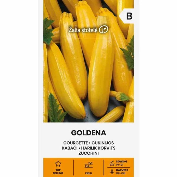 Squash 'Goldena'