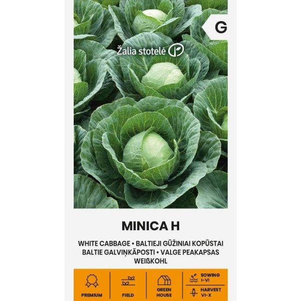 Hvidkål 'Minica' H
