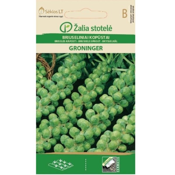 Rosenkål 'groninger'