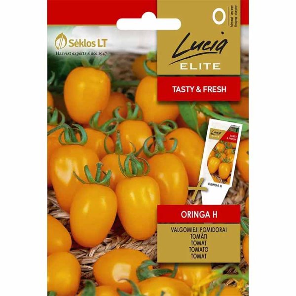 Tomat 'Oringa'