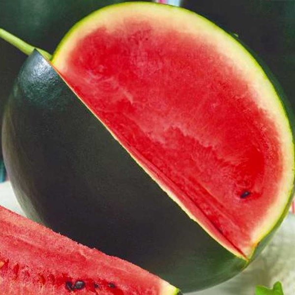 Vandmelon 'Pata Negra'