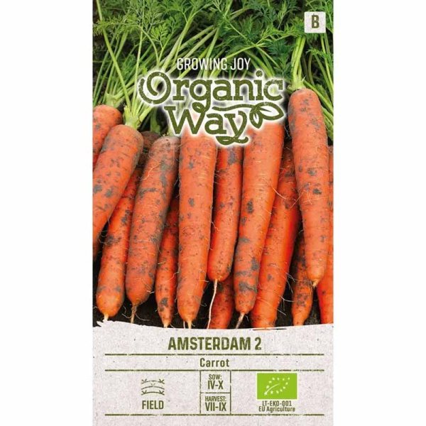 Carrot 'Amsterdam 2'