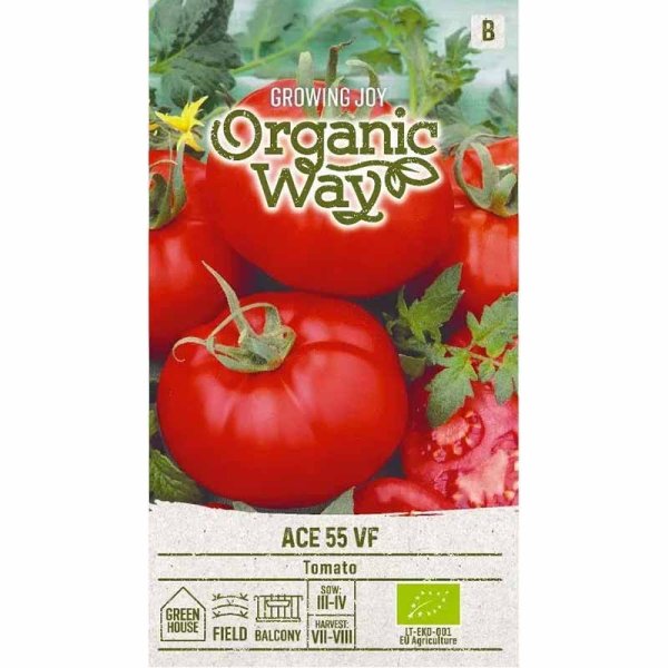 Tomat 'ACE 55 VF'