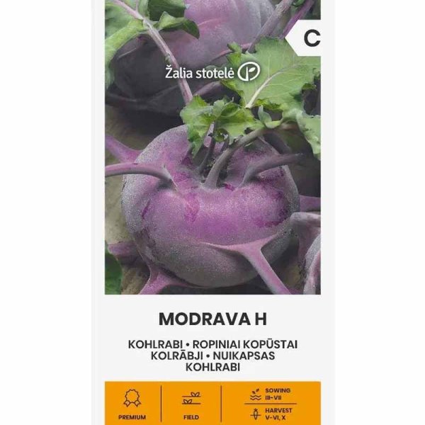 Knudekål 'Modrava' h