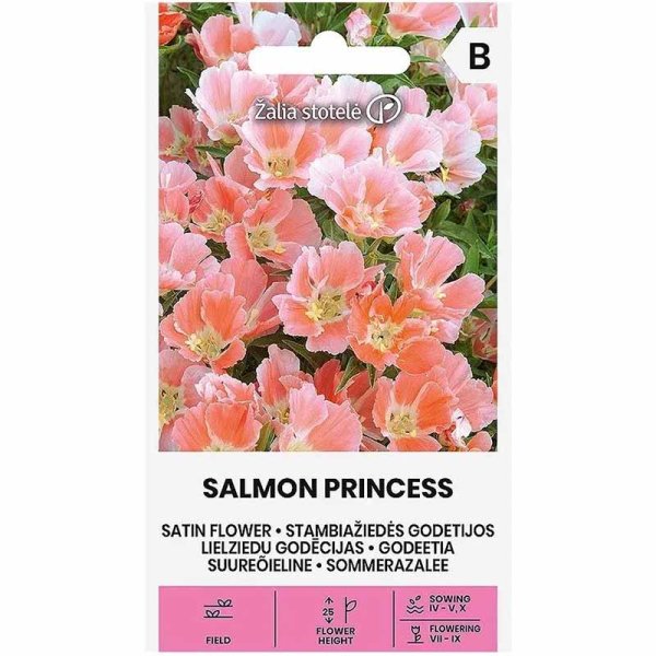 Atlasblomst 'Salmon Princess'