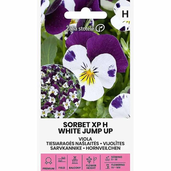 Stedmoderblomst 'Sorbet XP White Jump Up'