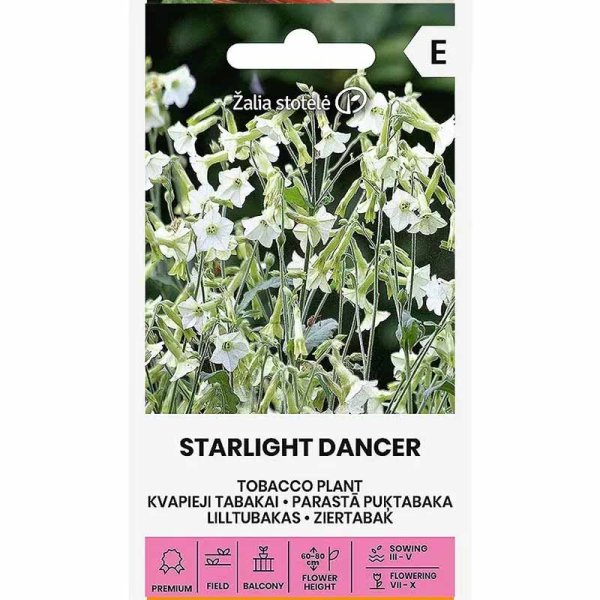 Prydtobak 'Starlight Dancer'