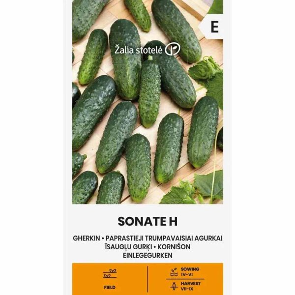 Agurk 'Sonate' F1