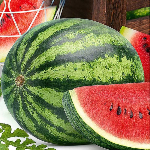 Vandmelon 'Megacrimson' F1