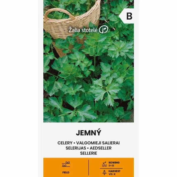 Knoldselleri 'Jemny'