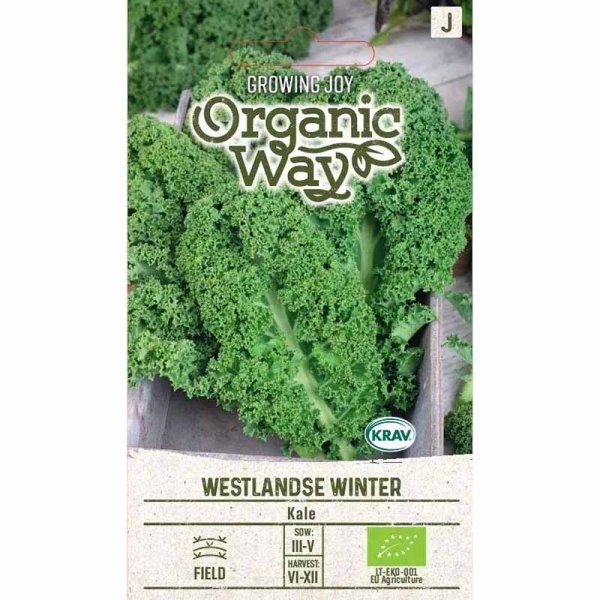 Grønkål 'Westlandse winter'