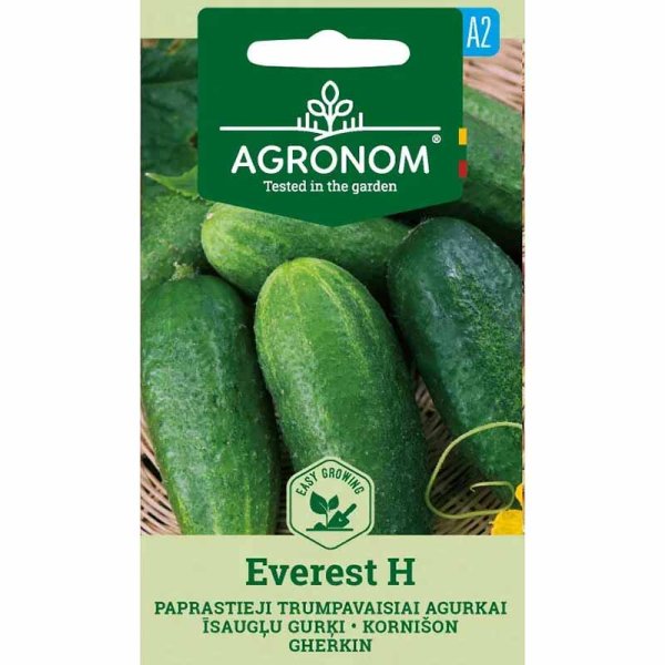 Agurk 'Everest' H