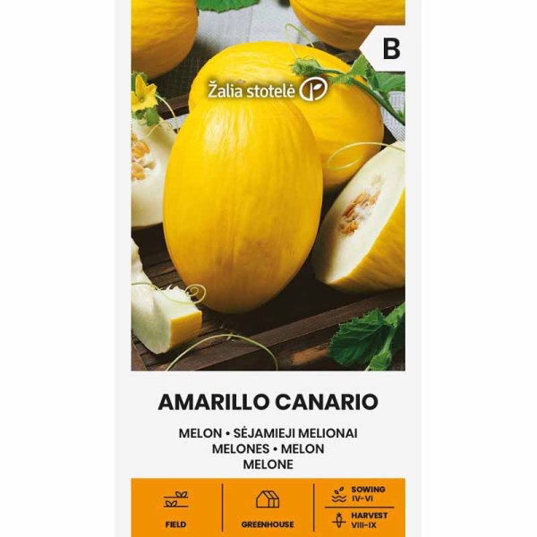 Melon 'Amarillo Canario'