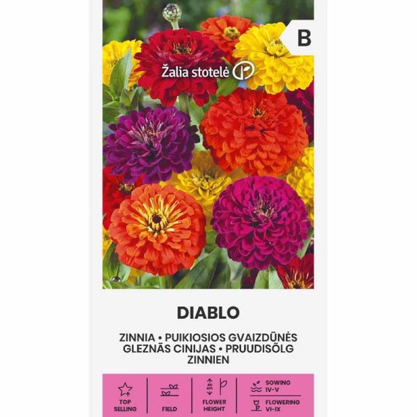 Zinnia 'Diablo'