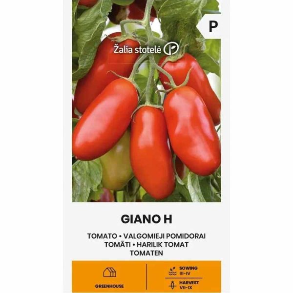 Tomat 'Giano' H