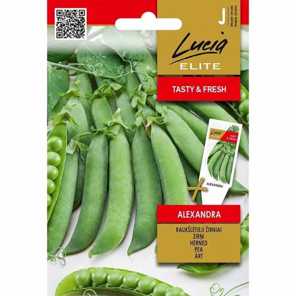 Ærter 'Alexandra'