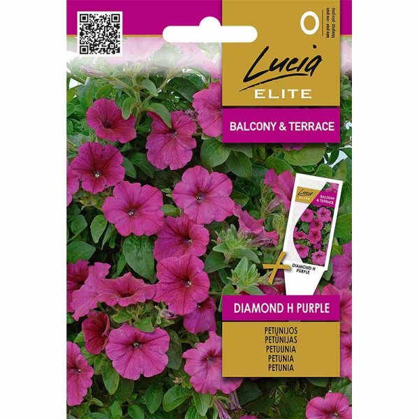 Petunia 'Diamond' F1 Purple