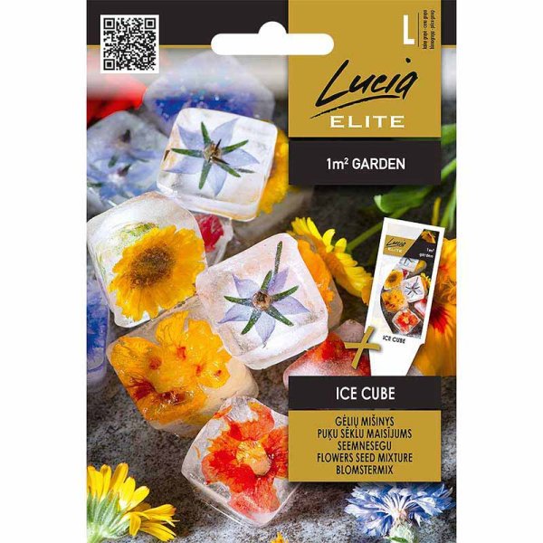 Blomsterblanding 'Ice Cube'