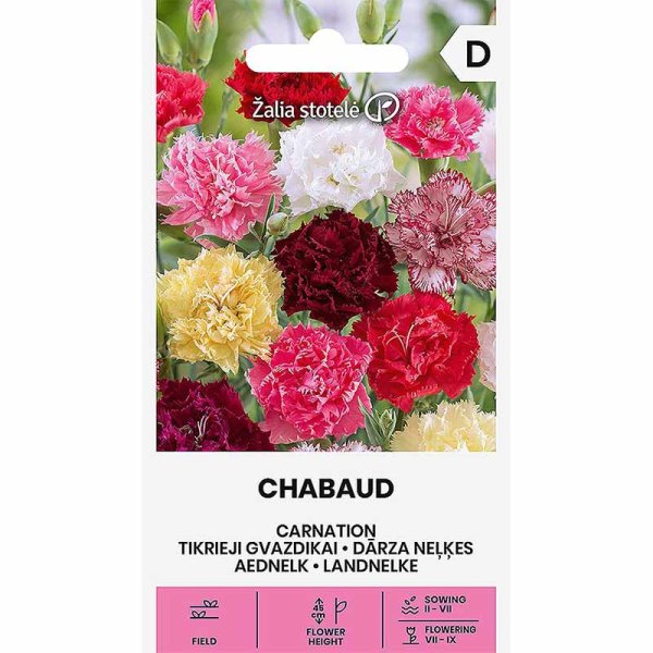 Nellike 'Chabaud'