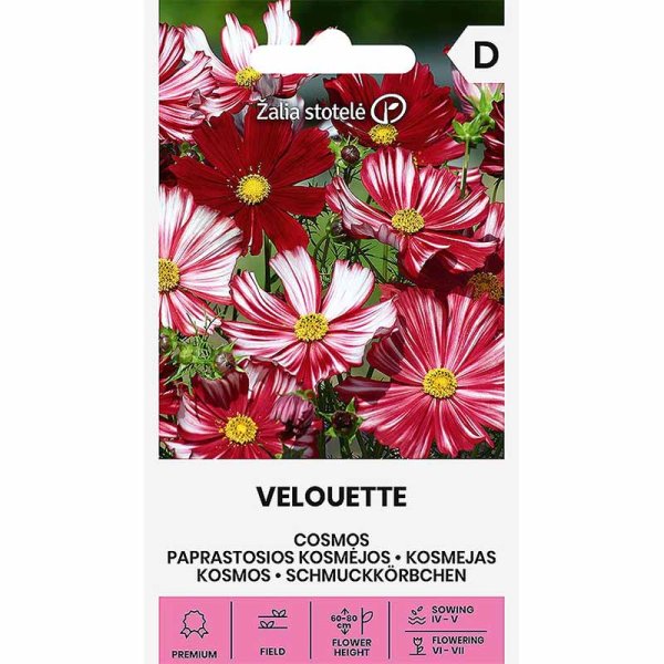 Cosmos 'Velouette'