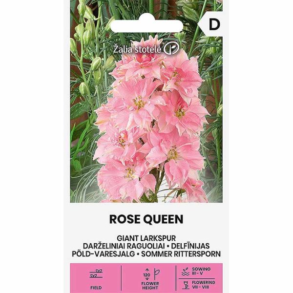 Ridderspore 'Rose Queen'
