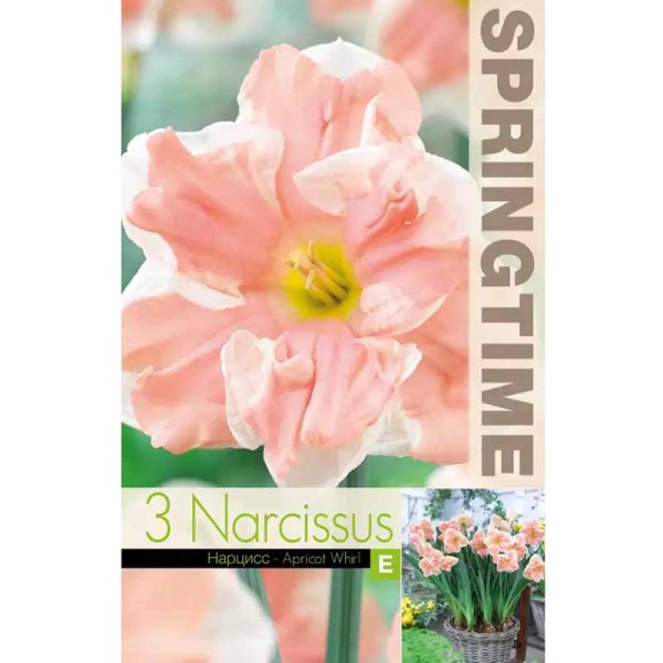 Stjernedaffodil 'Apricot Whirl'