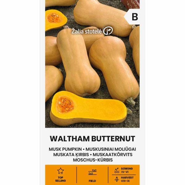 Moskusgræskar 'Waltham Butternut'