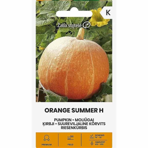 Kæmpegræskar 'Orange Summer' H