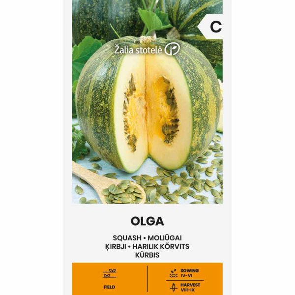 Squash 'Olga'