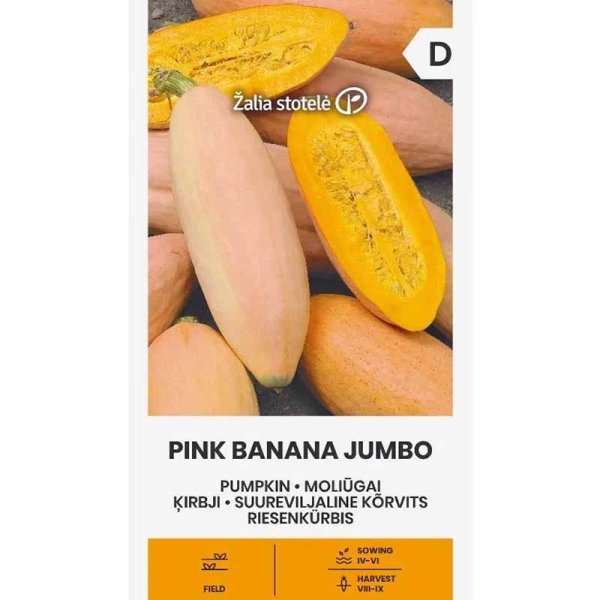 Kæmpegræskar 'Pink banana jumbo'