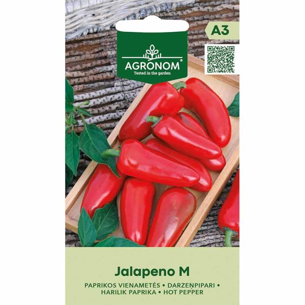 Chilipeber 'Jalapeno M'