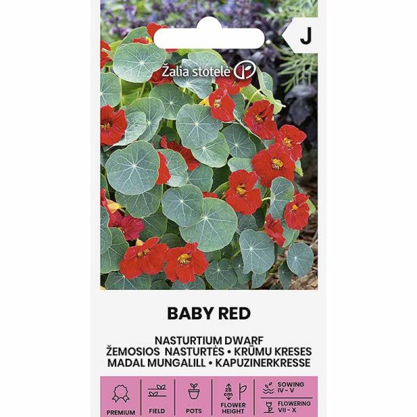 Dværgblomsterkarse 'Baby Red'
