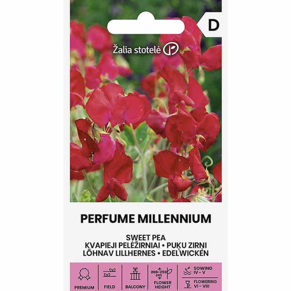 Ærteblomst 'Perfume Millennium'